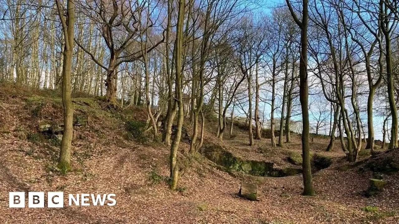 Otley: £100k crowdfunder bid to buy East Wood for community