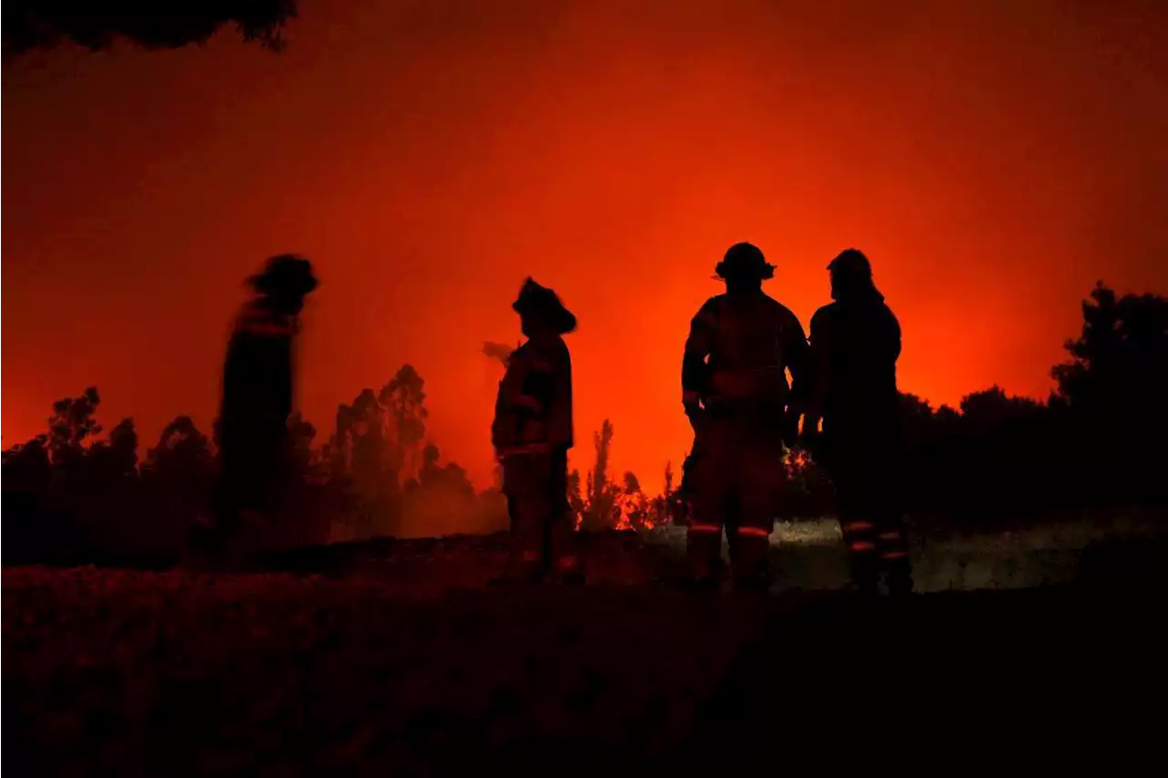 Chile recibe ayuda internacional para combatir incendios