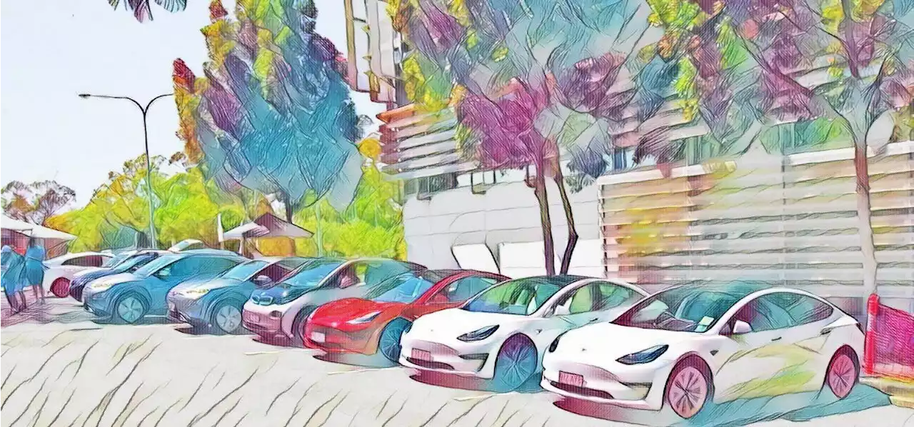 Tesla Dominates January EV Deliveries in Australia