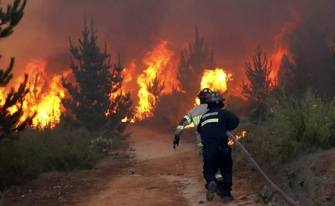 Petro enviará expertos a Chile para combatir incendios forestales