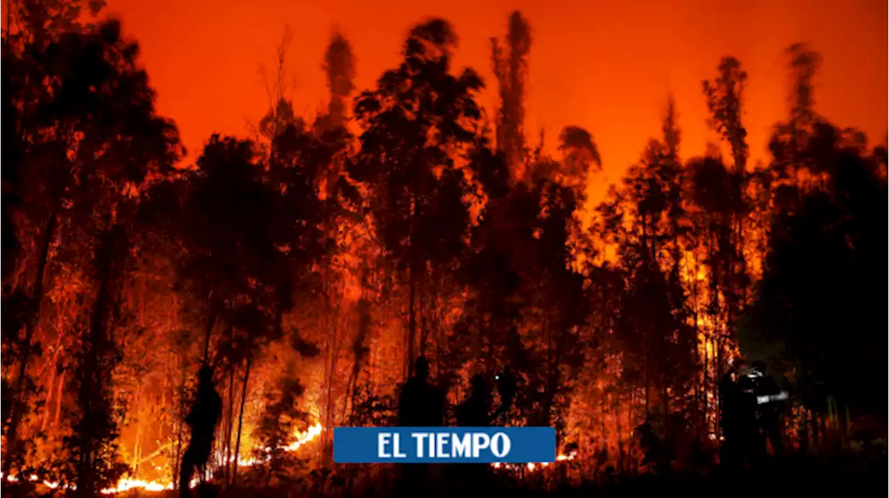 La comunidad internacional se solidariza con Chile por los incendios