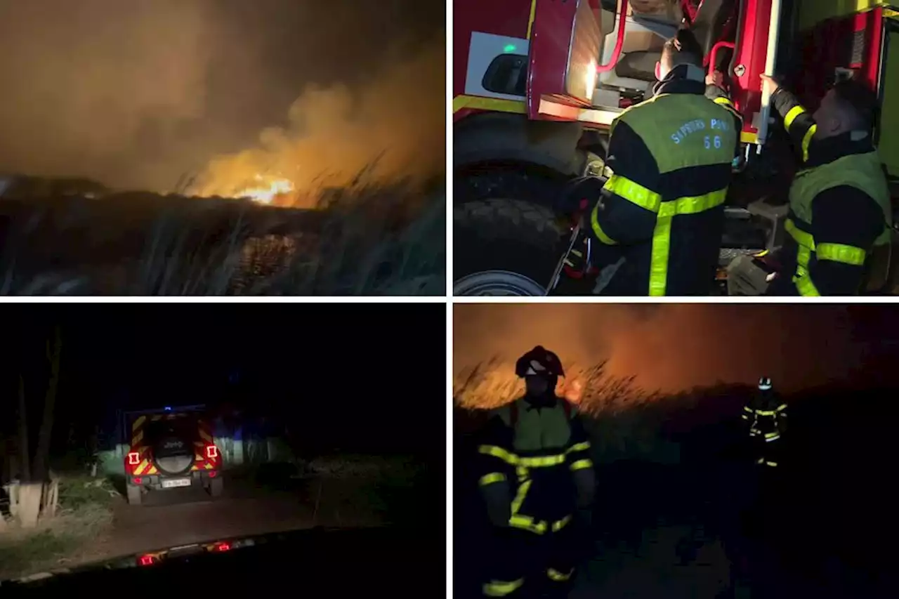 Violent incendie dans les Pyrénées-Orientales : 60 hectares ravagés, deux campings menacés par le feu près de Perpignan