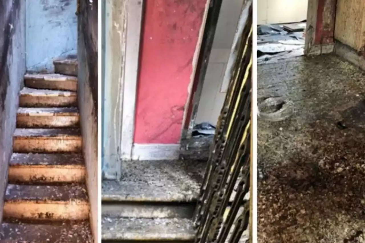 Council win battle to take over pigeon-infested flat that was once a cannabis farm