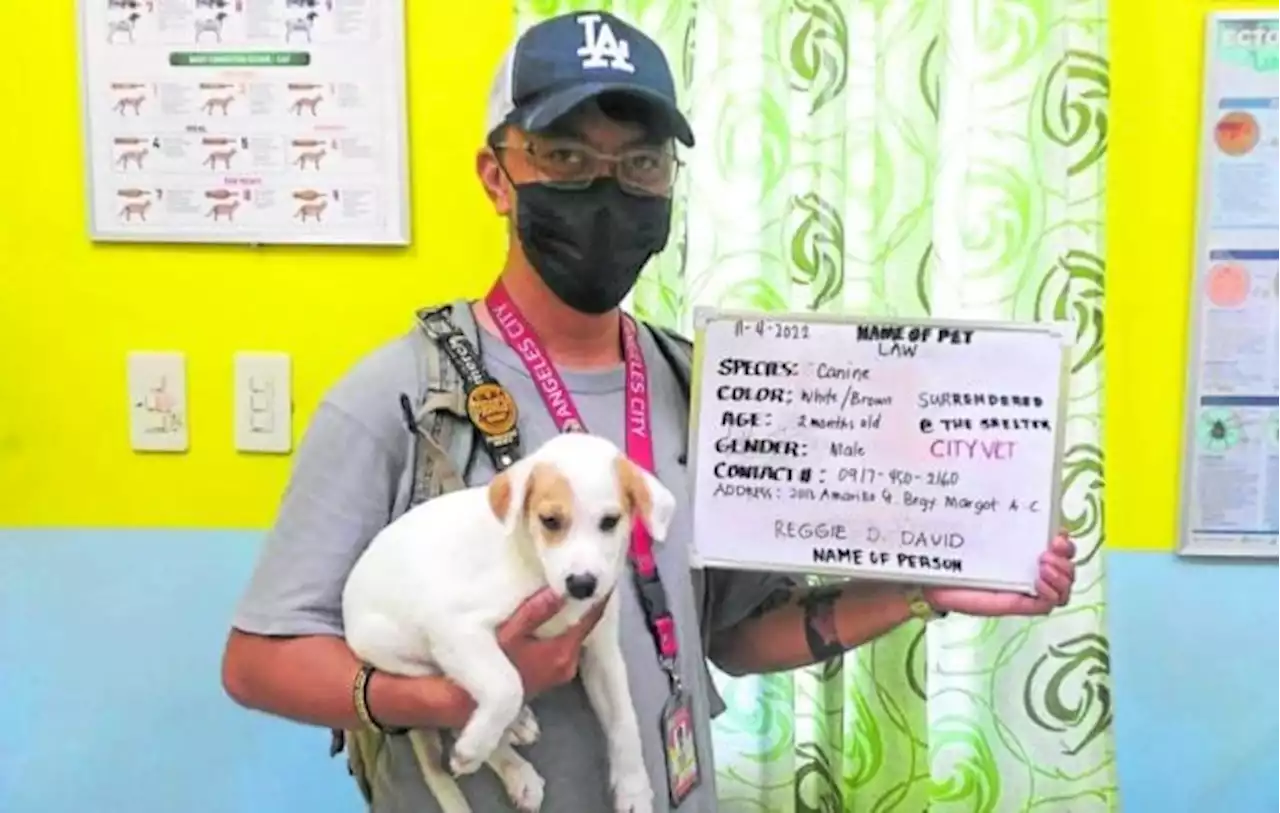 Angeles City gov’t to sue 3 men who slaughtered dog for ‘pulutan’