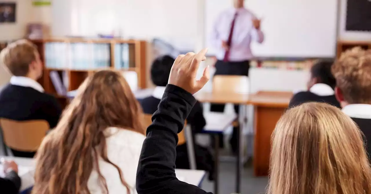 Decline in students taking foreign languages for Leaving Cert