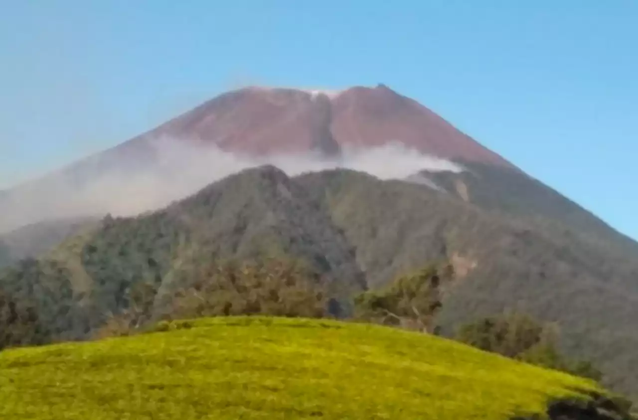 Negara Wajib Menjamin Hak Masyarakat Sebelum Menentukan Kawasan Hutan