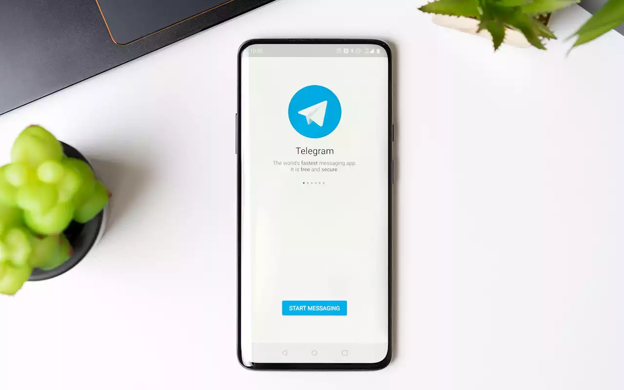 Pembaruan Telegram, Ada Fitur Terjemah Real Time, Keren!