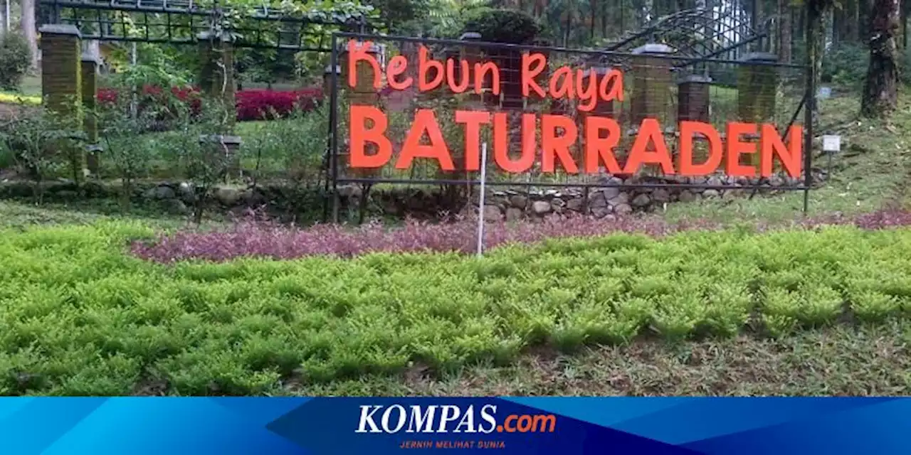 Kebun Raya Baturraden Purwokerto: Jam Buka, Tiket Masuk, dan Aktivitas