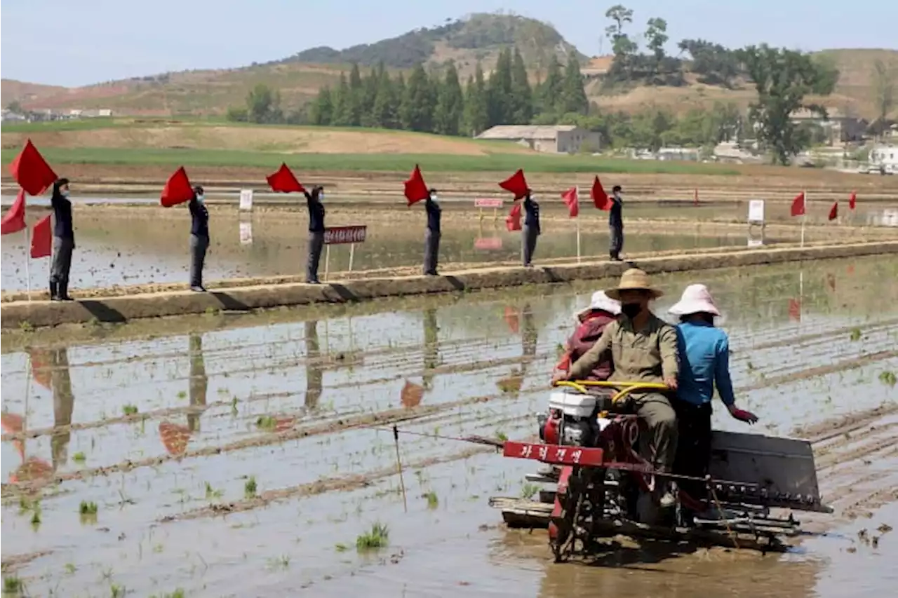 North Korea party meeting set to discuss 'urgent' food issue