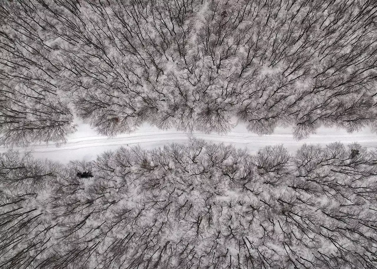 Temporal de nieve y frío en las próximas 72 horas: estas son las zonas más afectadas