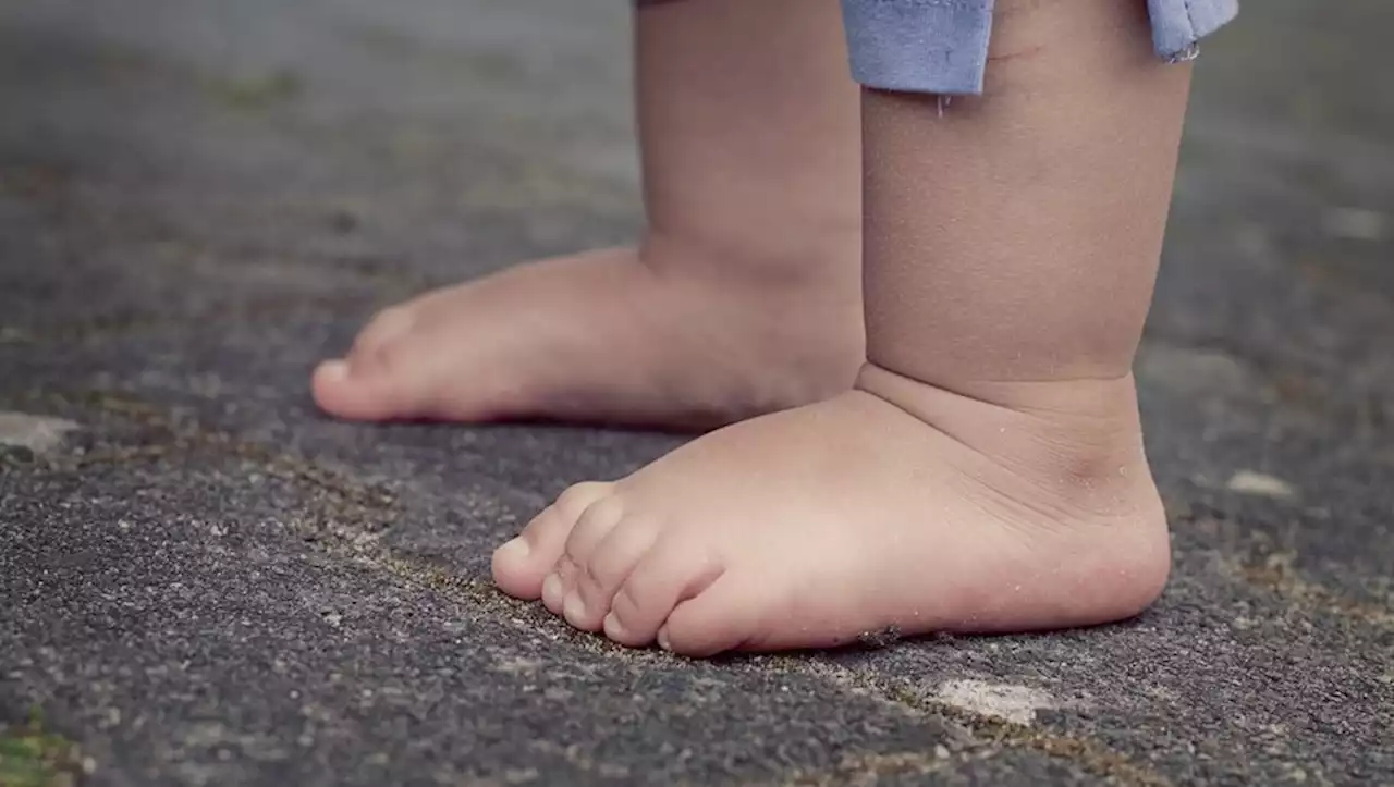 Un enfant de 2 ans retrouvé au milieu de la nuit en train de marcher pieds nus sur une route départementale