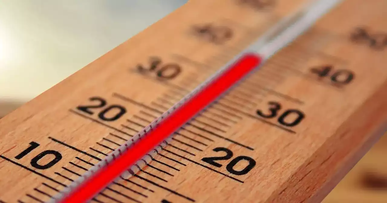 Córdoba: emiten alerta por calor extremo para las próximas jornadas | Ciudadanos | La Voz del Interior