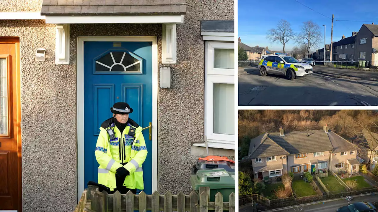 Baby among three children stabbed in home as woman arrested in attempted murder probe