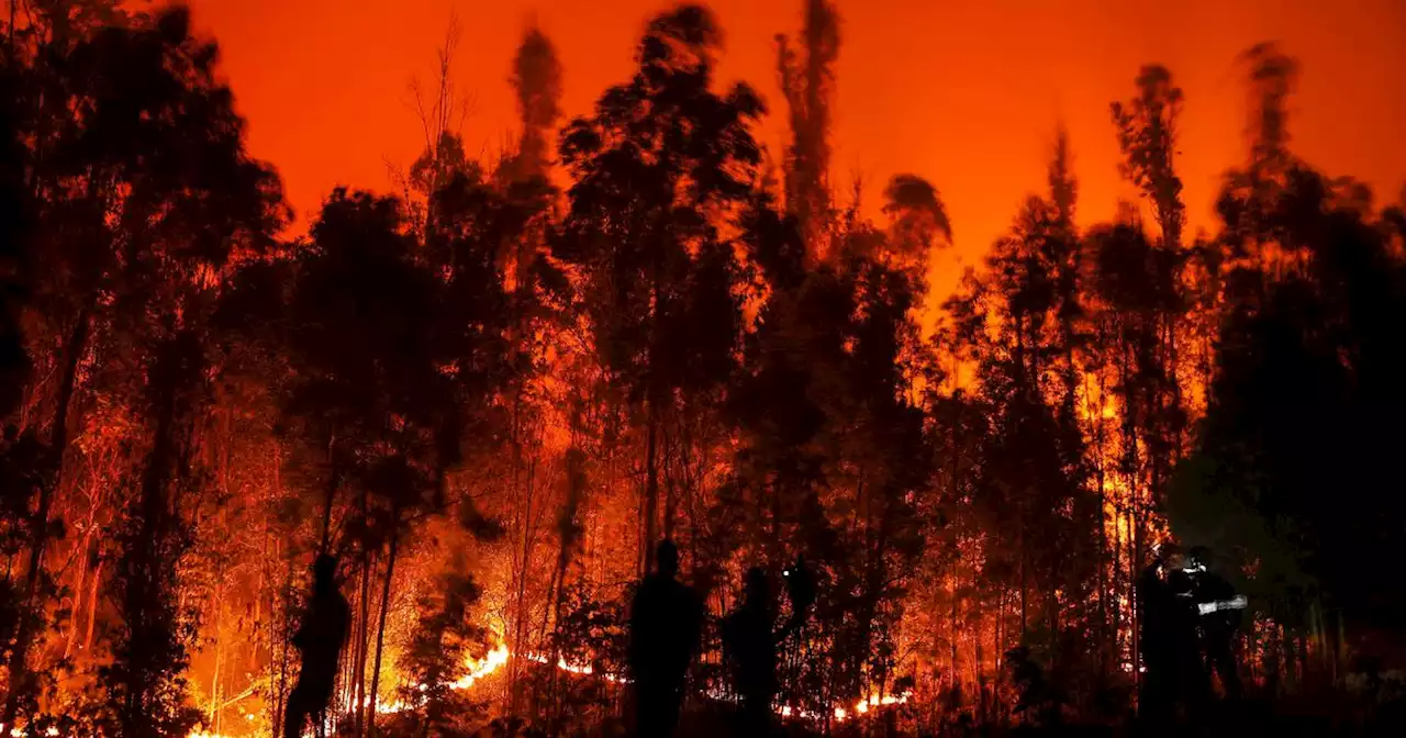 'C'était l'enfer', témoigne une habitante d'une région chilienne ravagée par les incendies