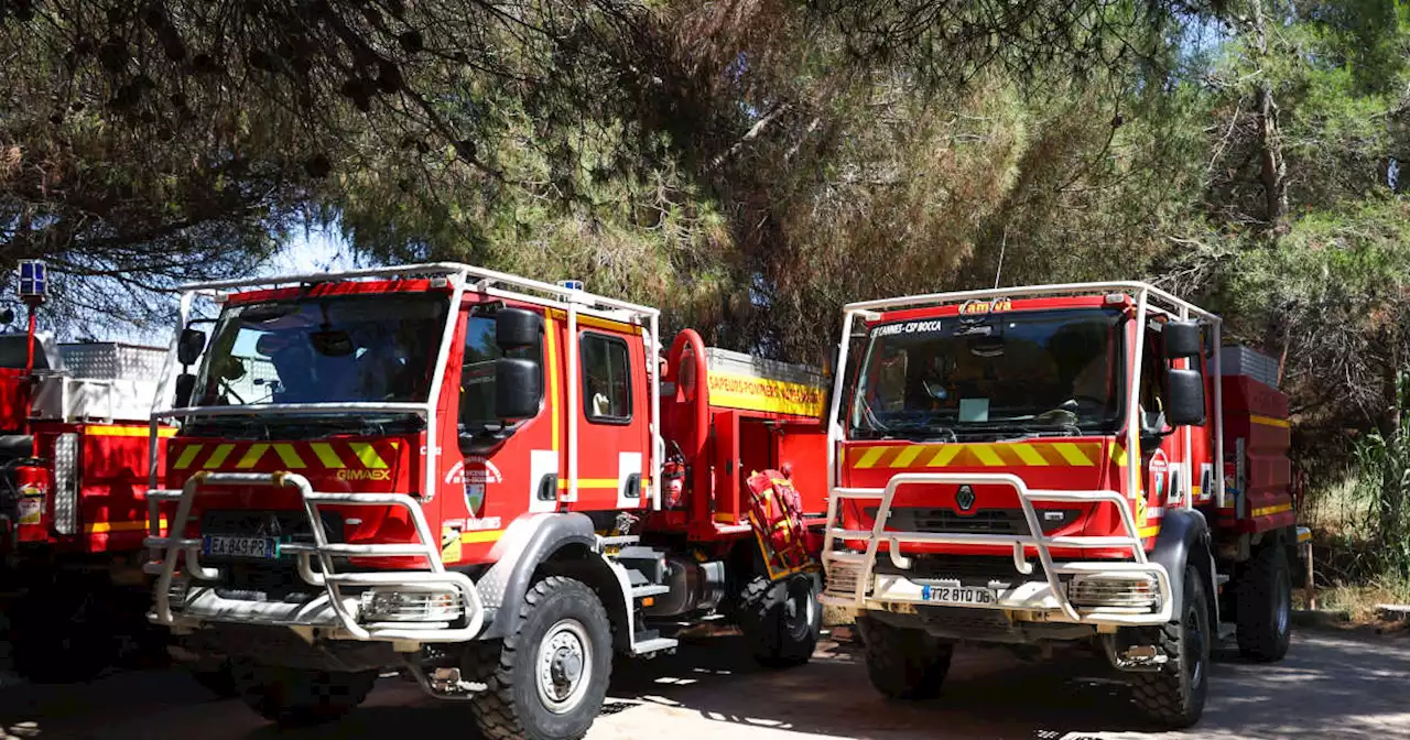 Dans les Pyrénées-Orientales, un incendie causé par la sécheresse prématurée ravage 60 hectares de végétation