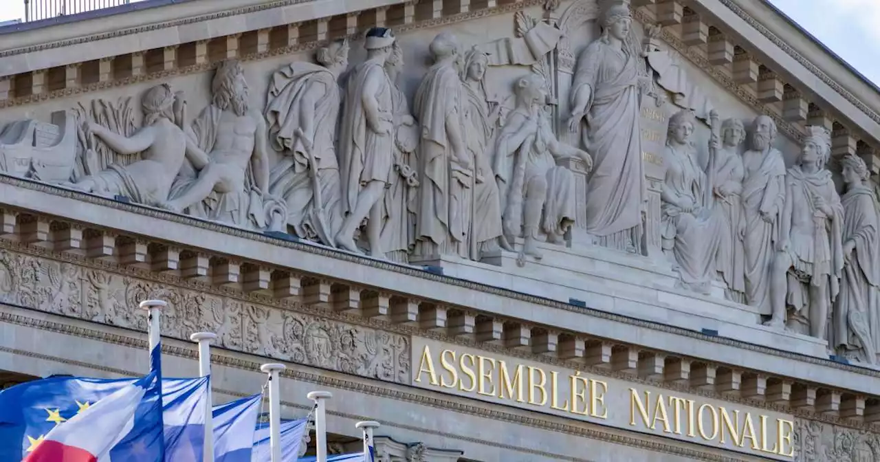 « Faire entrer la colère contre cette réforme » : les insoumis, l’Assemblée et la rue