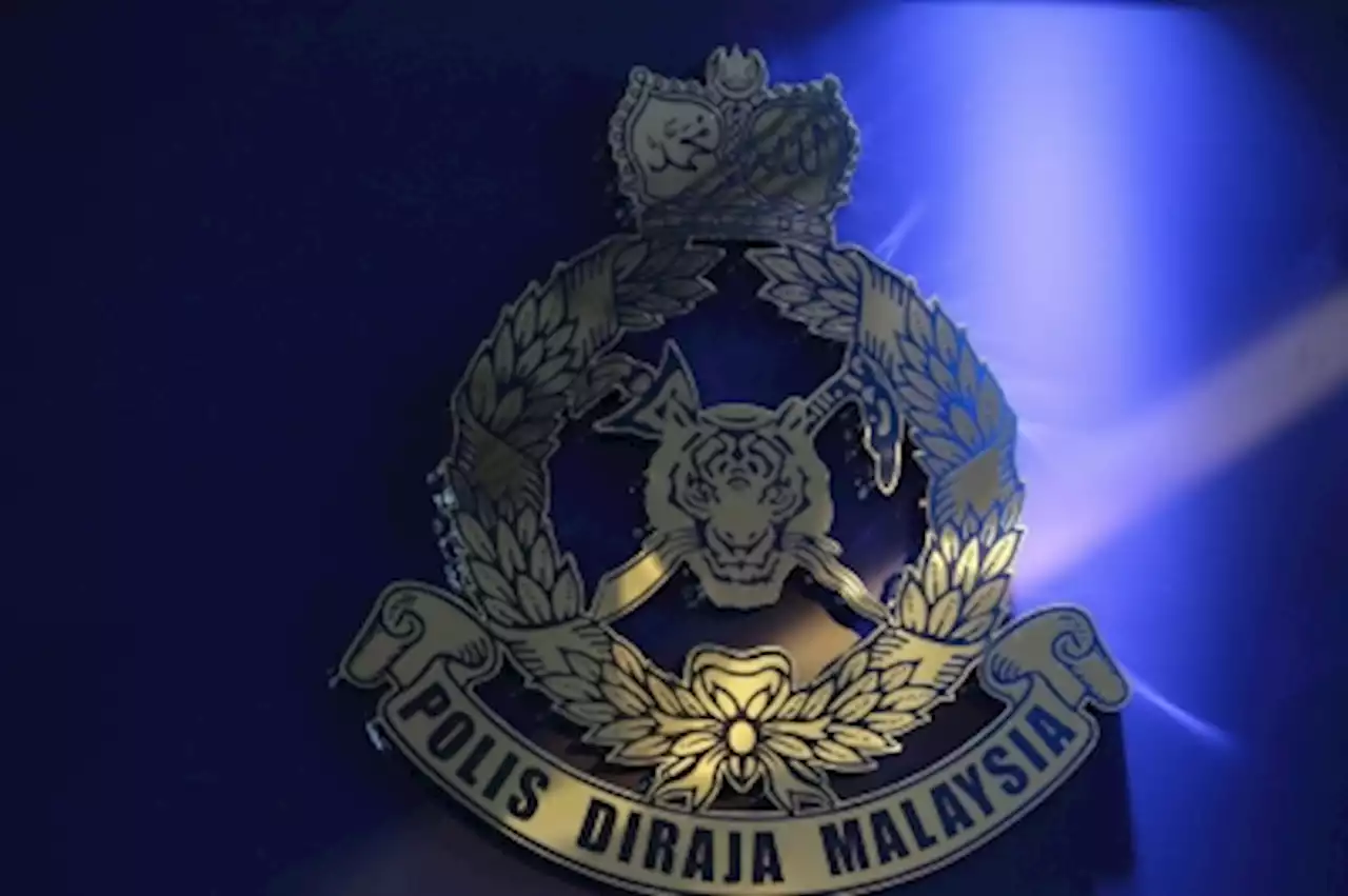 Terengganu cops arrest four in separate raids for possession of homemade firearms