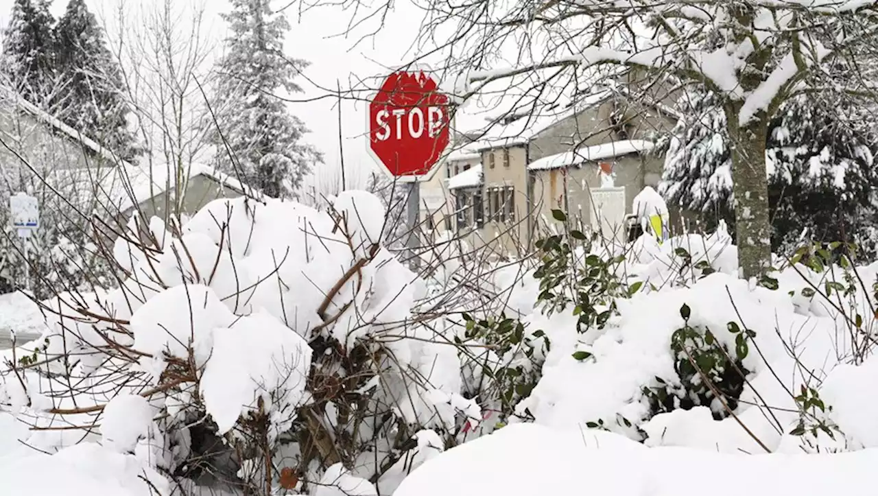 Pyrénées-Orientales : de nombreuses liaisons de bus suspendus par la préfecture, à cause de la neige ce 7 février