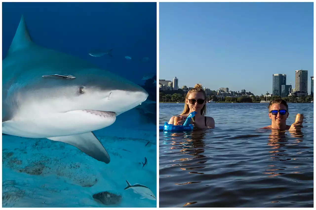 Teen shark victim had worked on a project about staying safe in water