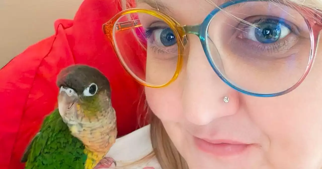 Missing Notts parrot enjoys 'adventure of a lifetime'