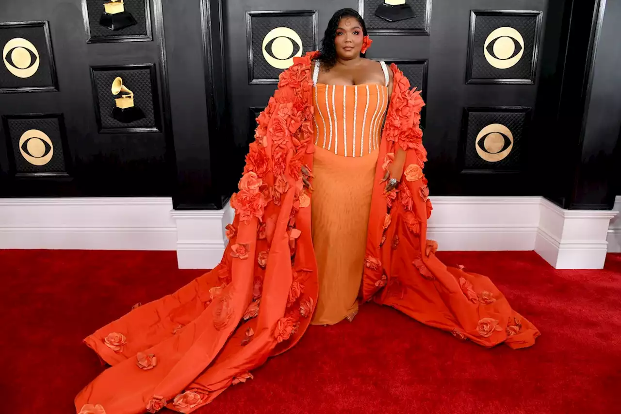 Every 2023 Grammys Red Carpet Look