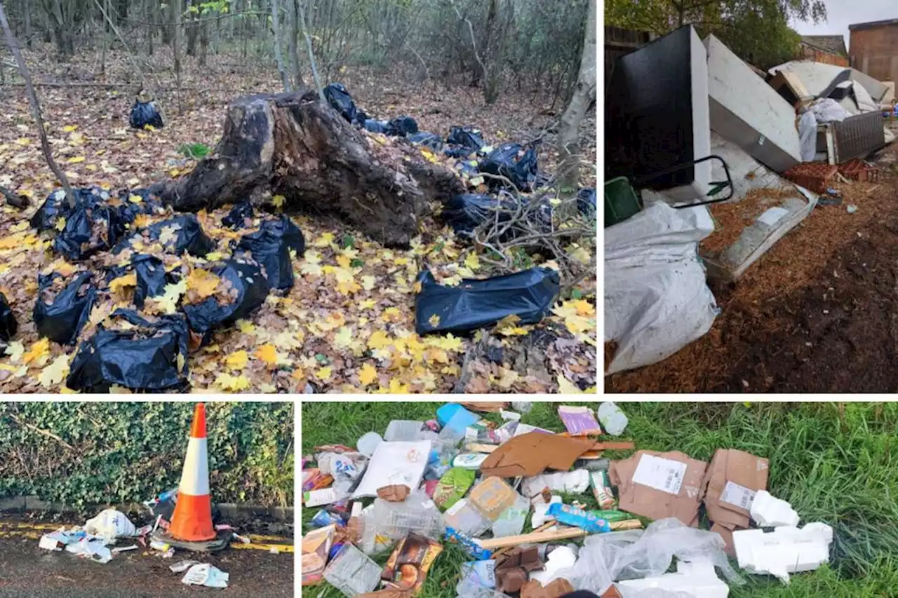 More than 1,000 fly-tipping sites found in Watford over 12 months