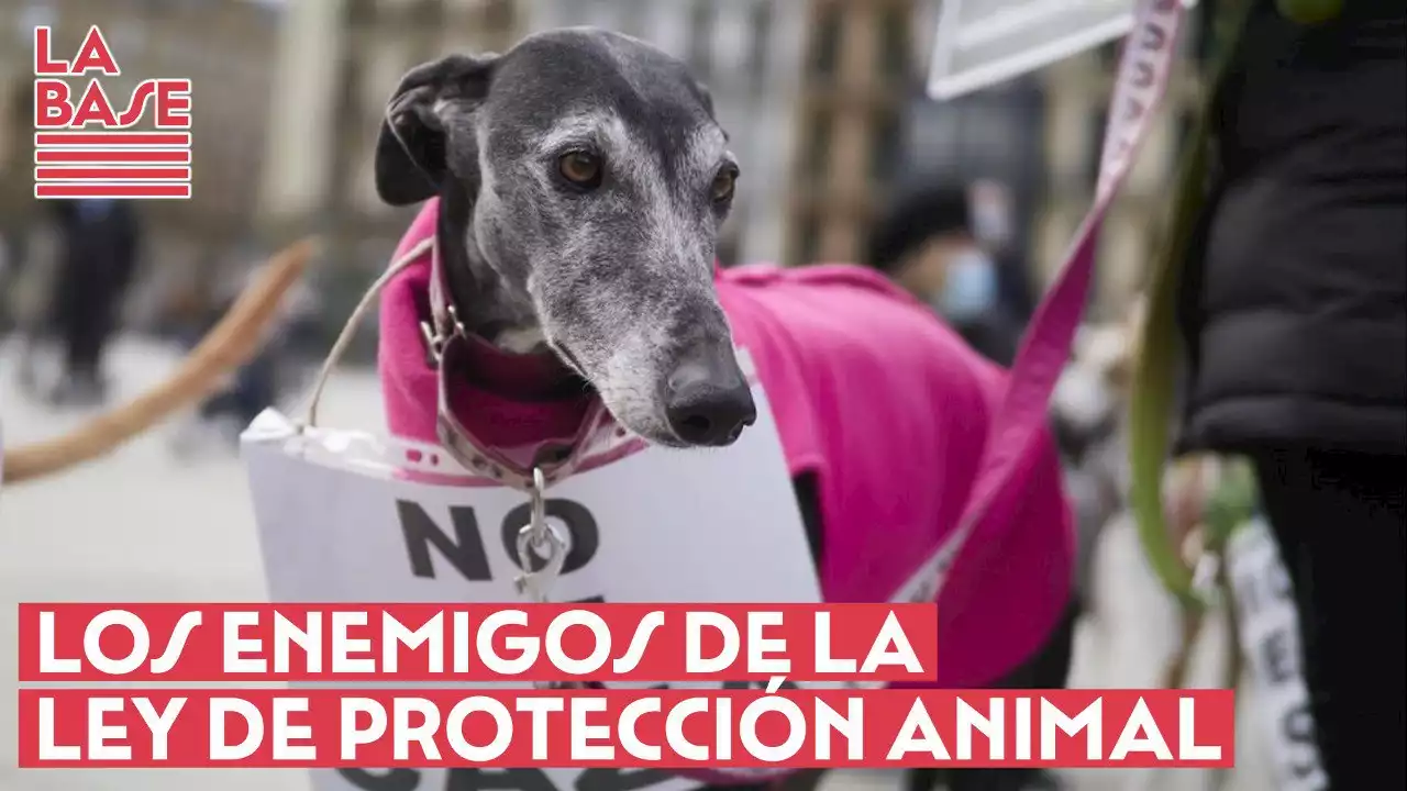 La Base #2x68 - Los enemigos de la Ley de Protección Animal - Público TV