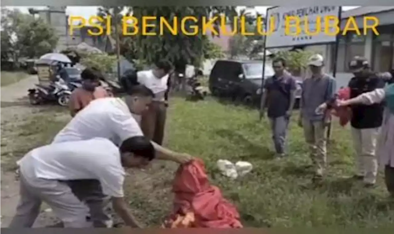 Viral Video Ribuan Kader Mengundurkan Diri, Ini Klarifikasi PSI Bengkulu |Republika Online