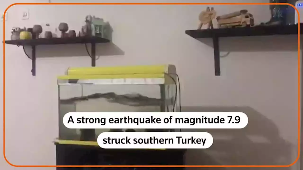 Deadly Turkey earthquake sends rescuers scrambling for survivors