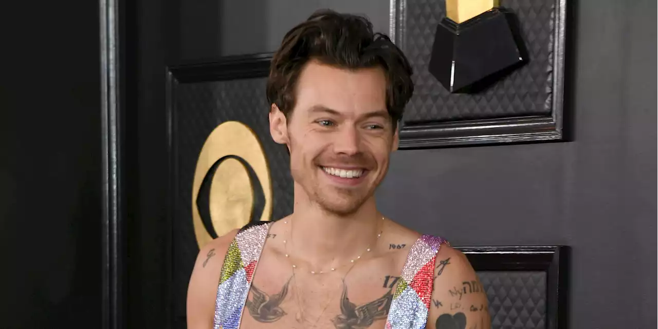 Harry Styles Brought Biceps and a Rainbow Jumpsuit to the 2023 Grammys Red Carpet