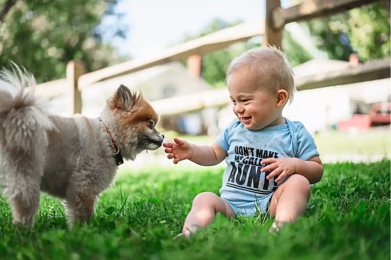 How a pet motivates a child to want to interact with it, promoting development