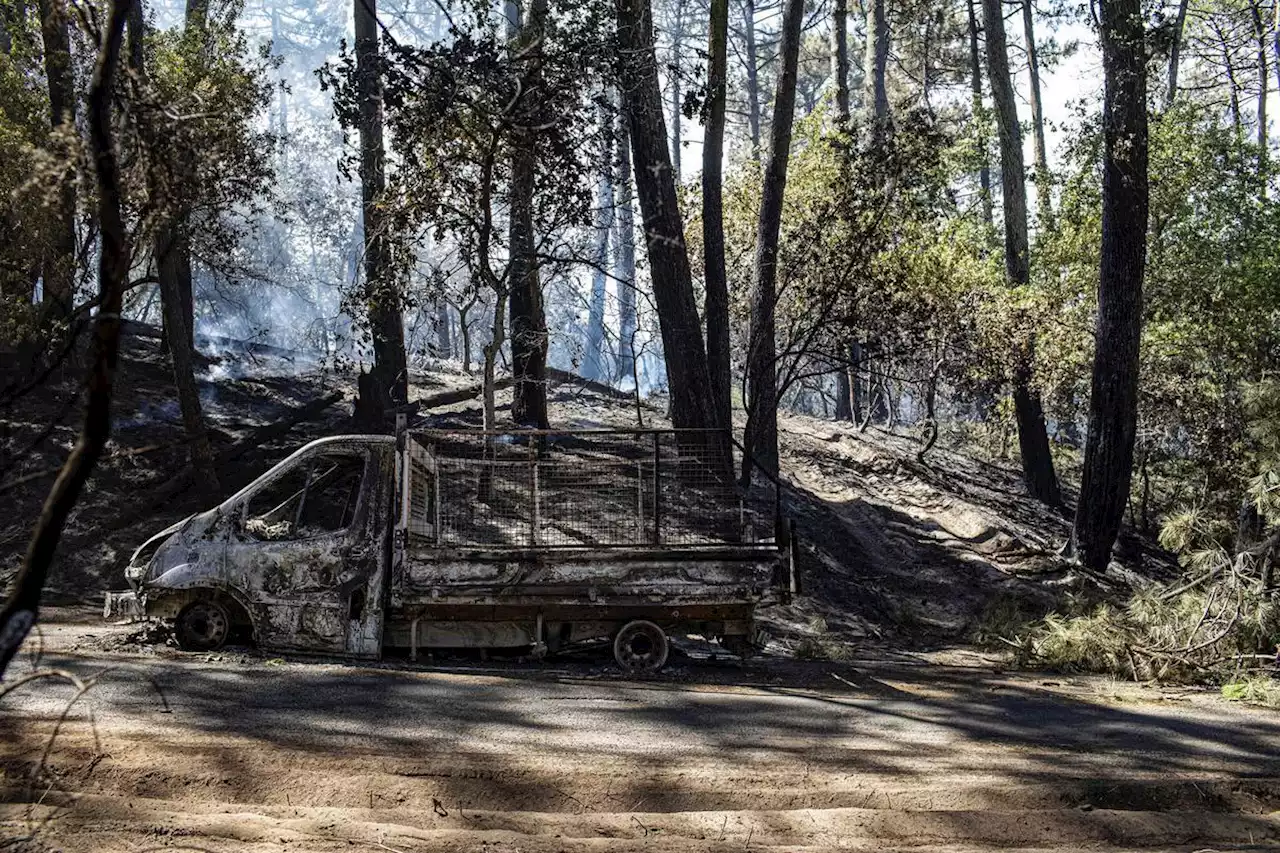 Incendies en Gironde : une plainte a été déposée après le feu de forêt à La Teste-de-Buch