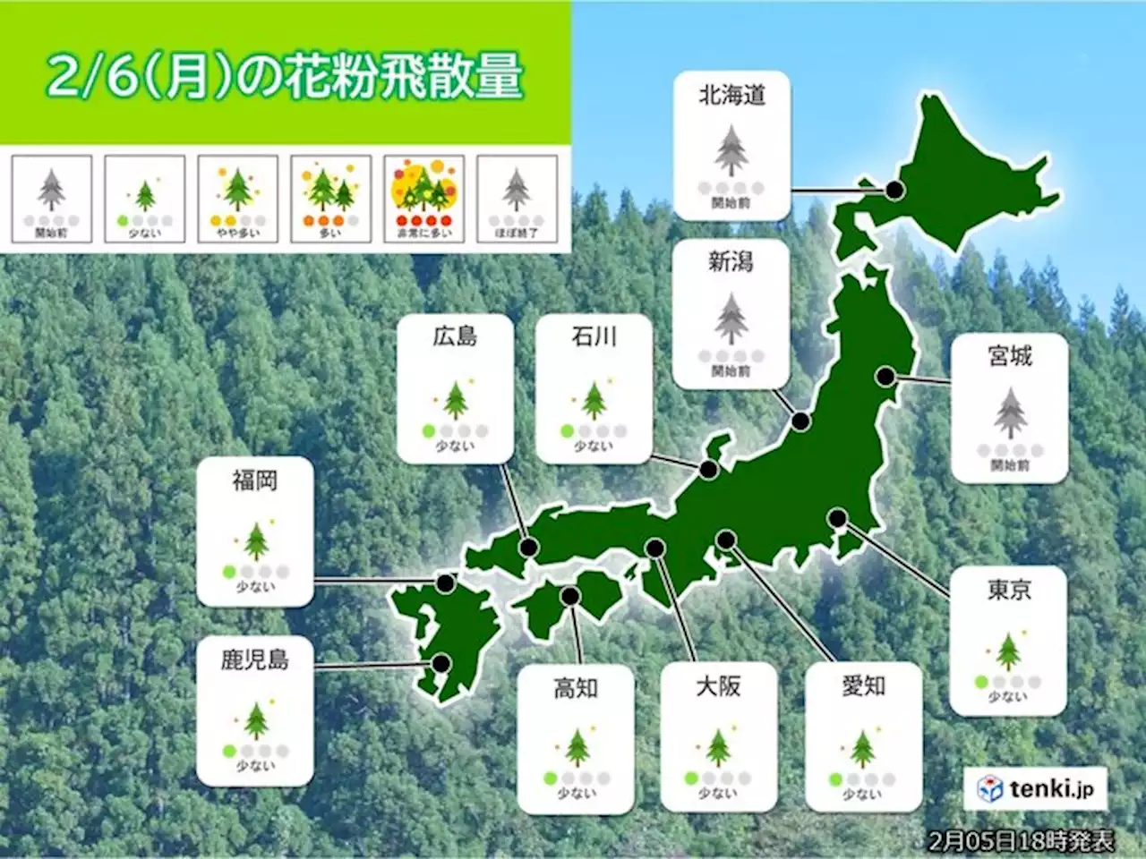 きょう6日の花粉情報 九州から関東で「少ない」 症状の出やすい方は対策を(気象予報士 久保 智子)