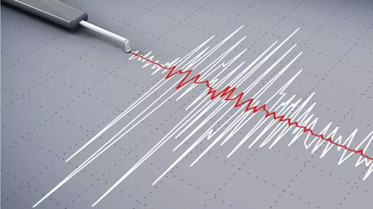 Update Gempa Turki: 200 Orang Tewas di Suriah, 600 Orang Alami Luka-luka - Tribunnews.com