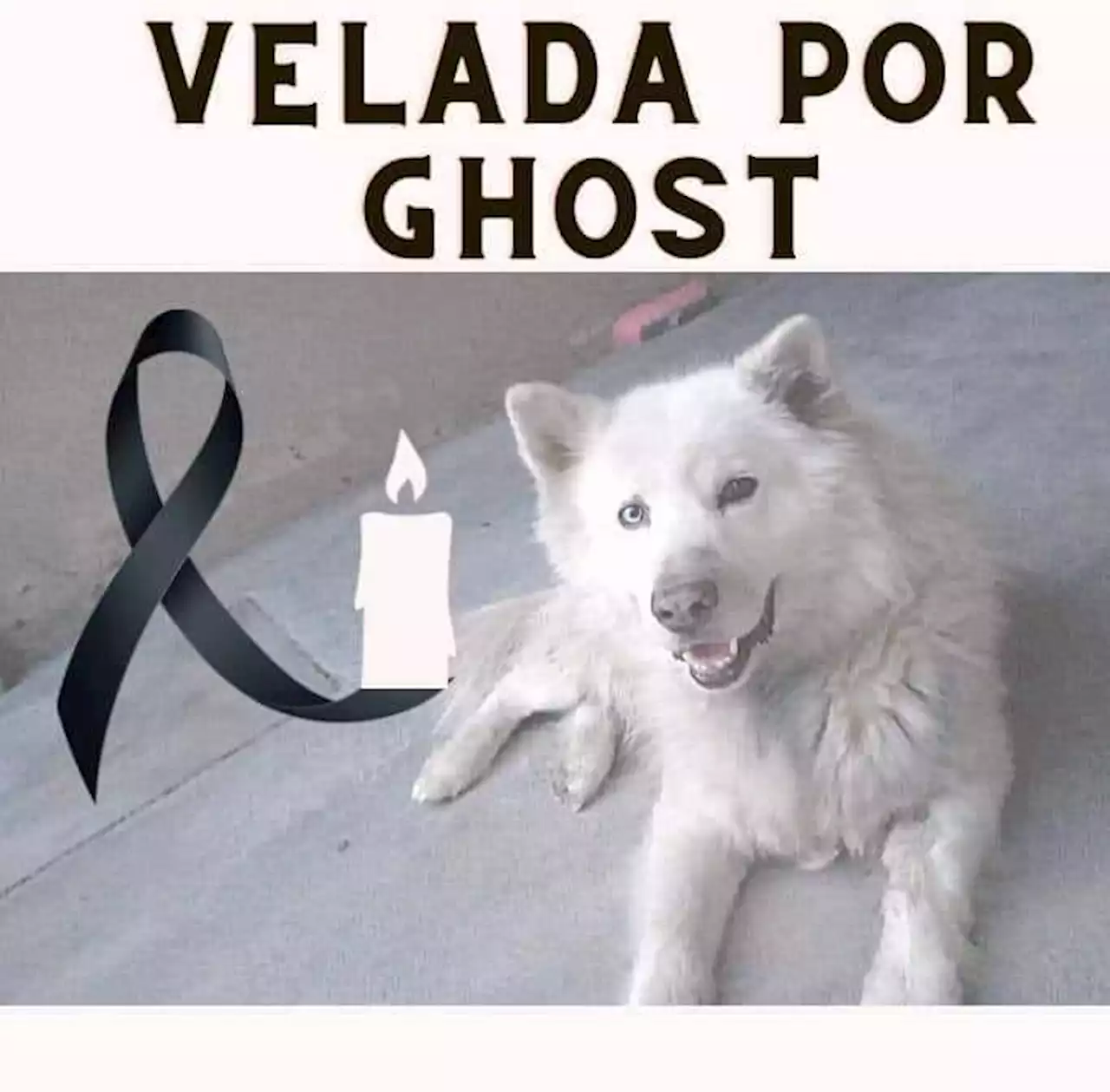 Activistas convocan a velada pacífica por ‘Ghost’ en Saltillo