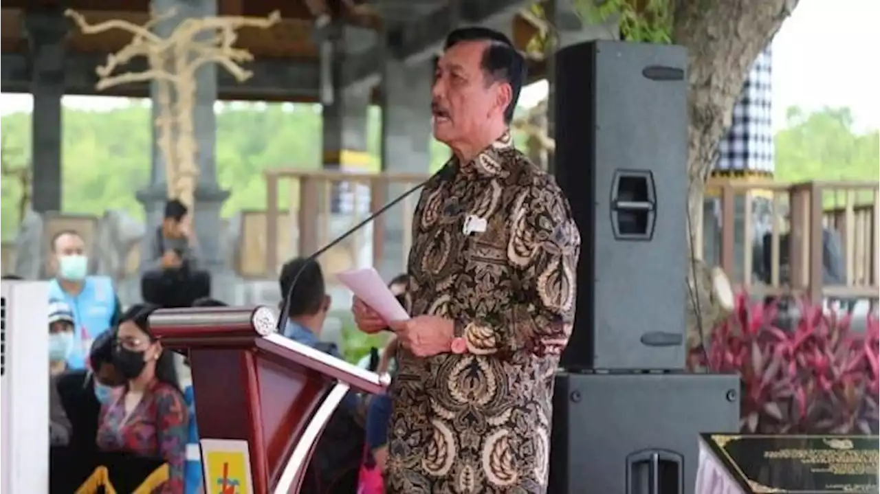 MinyaKita Mahal dan Langka, Luhut Naikkan Pasokan DMO 50 Persen Sampai Lebaran