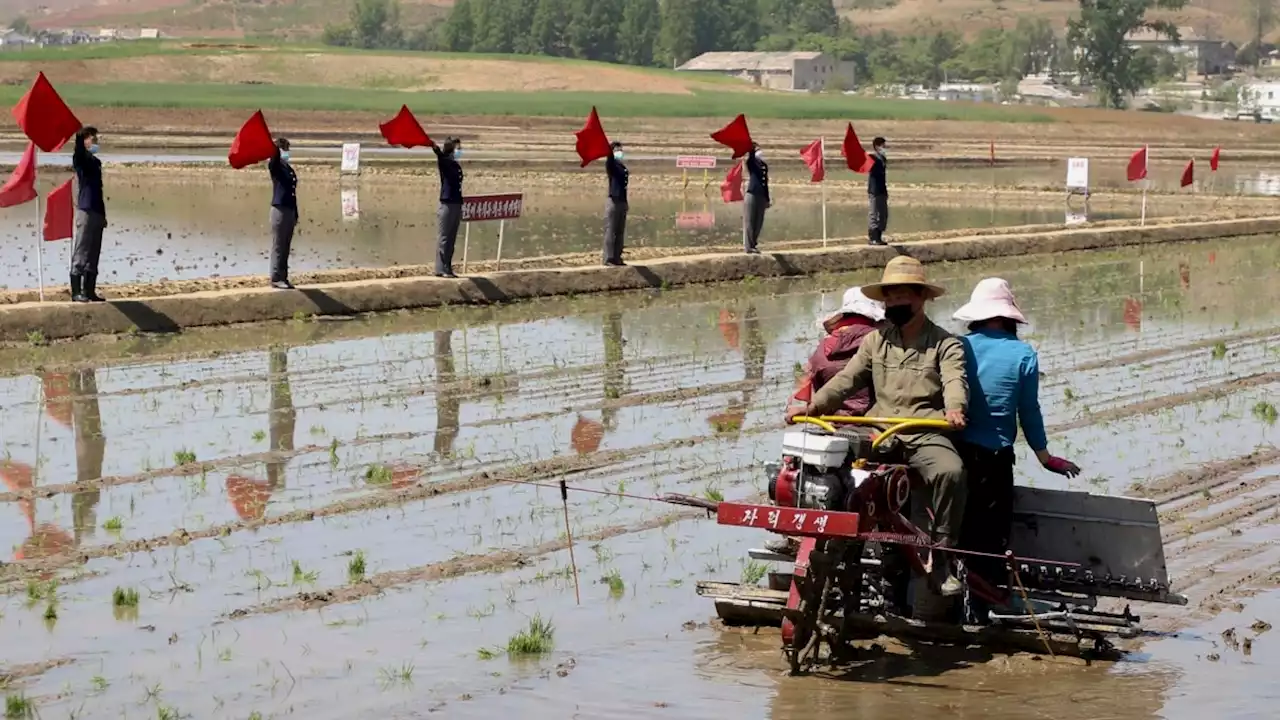 Partai Buruh Korut Bertemu untuk Bahas Isu Pangan ‘Mendesak’