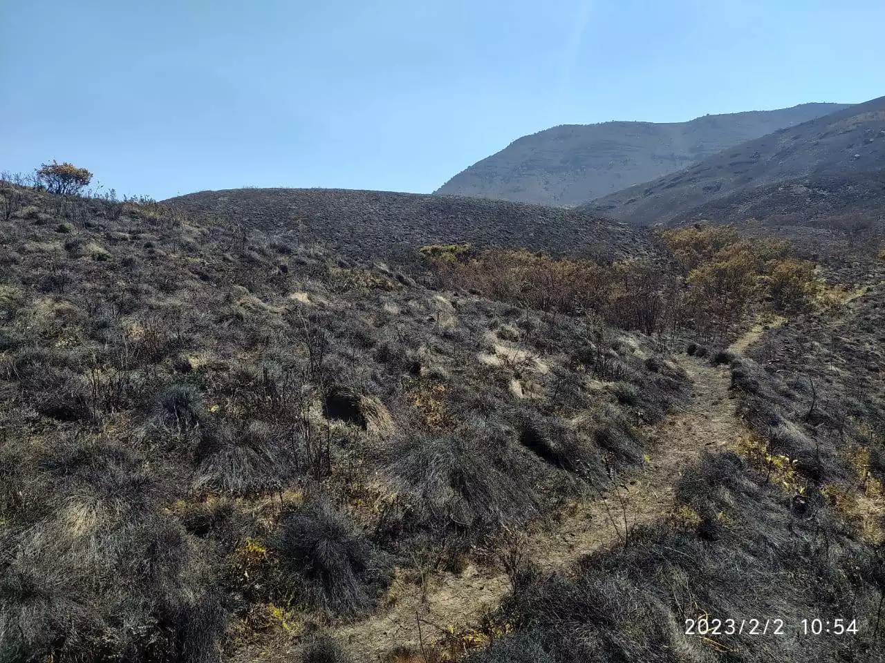 Incendio dejó más de 2.000 hectáreas quemadas en parámo Las Alfombras en Boyacá