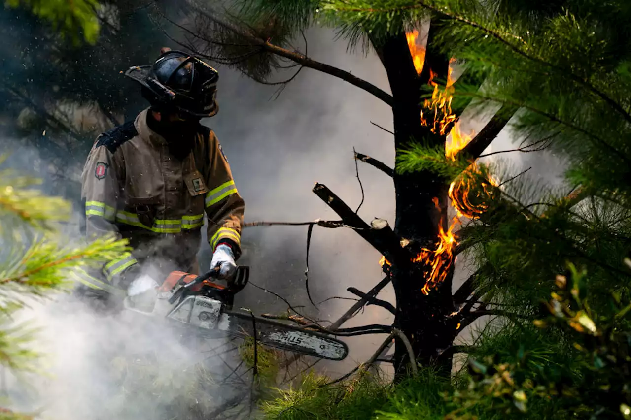 Chile recibió ayuda internacional para combatir incendios que dejan 26 muertos