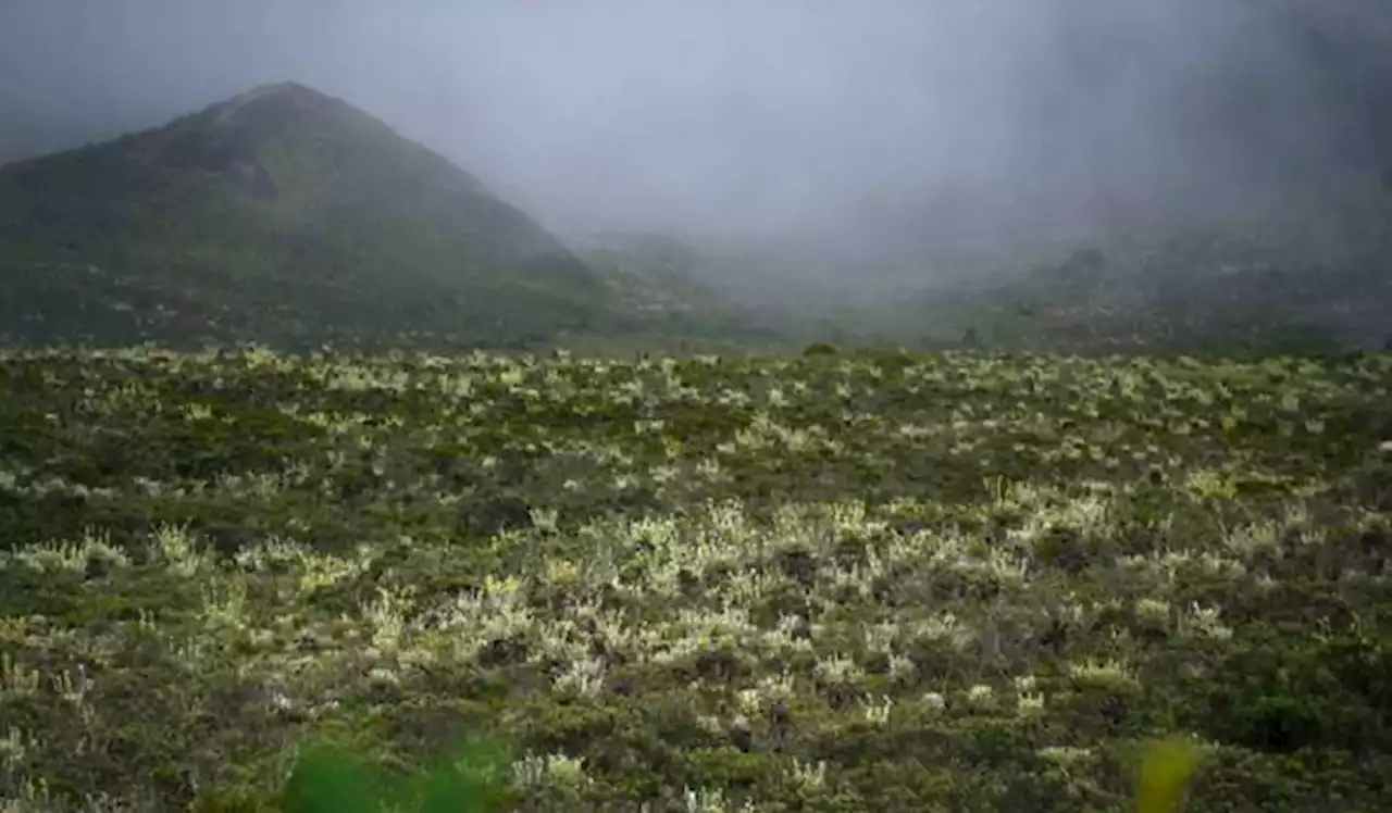 La ANT declaró al Sumapaz como zona de reserva campesina