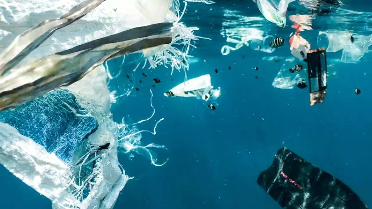 Un mar de microplásticos baña Canarias