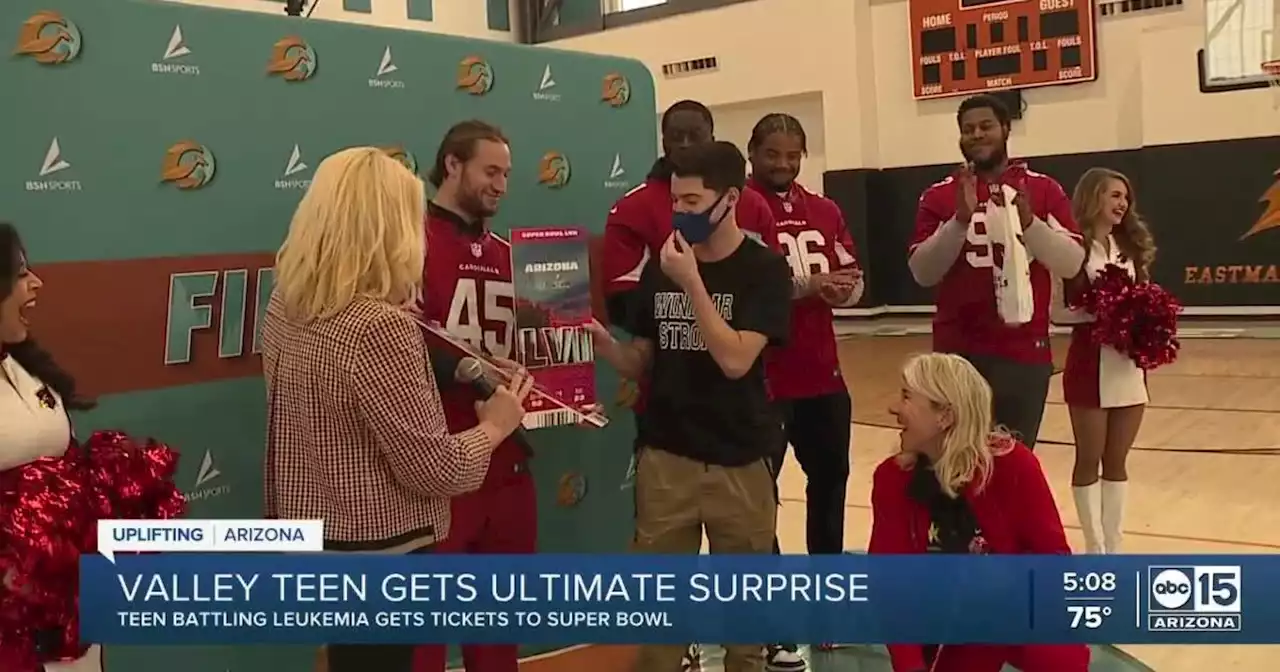 Valley teen battling leukemia surprised with Super Bowl tickets