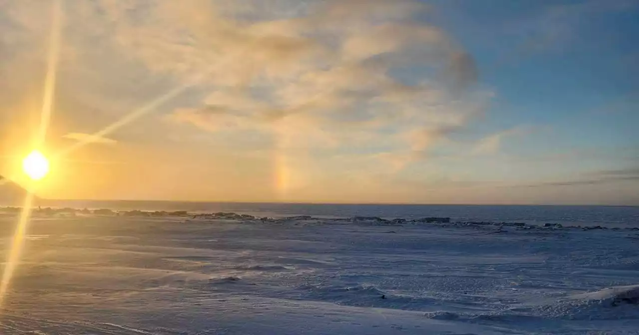 Polar bear that killed mother and son in Northwest Alaska village was in poor health, tests show