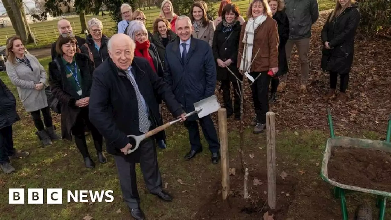 North Yorkshire: Tree trail launched to honour pandemic victims