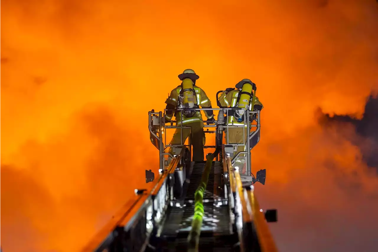 Berlin: Brennendes Wohnhaus in Mitte evakuiert – 80 Feuerwehrleute im Einsatz