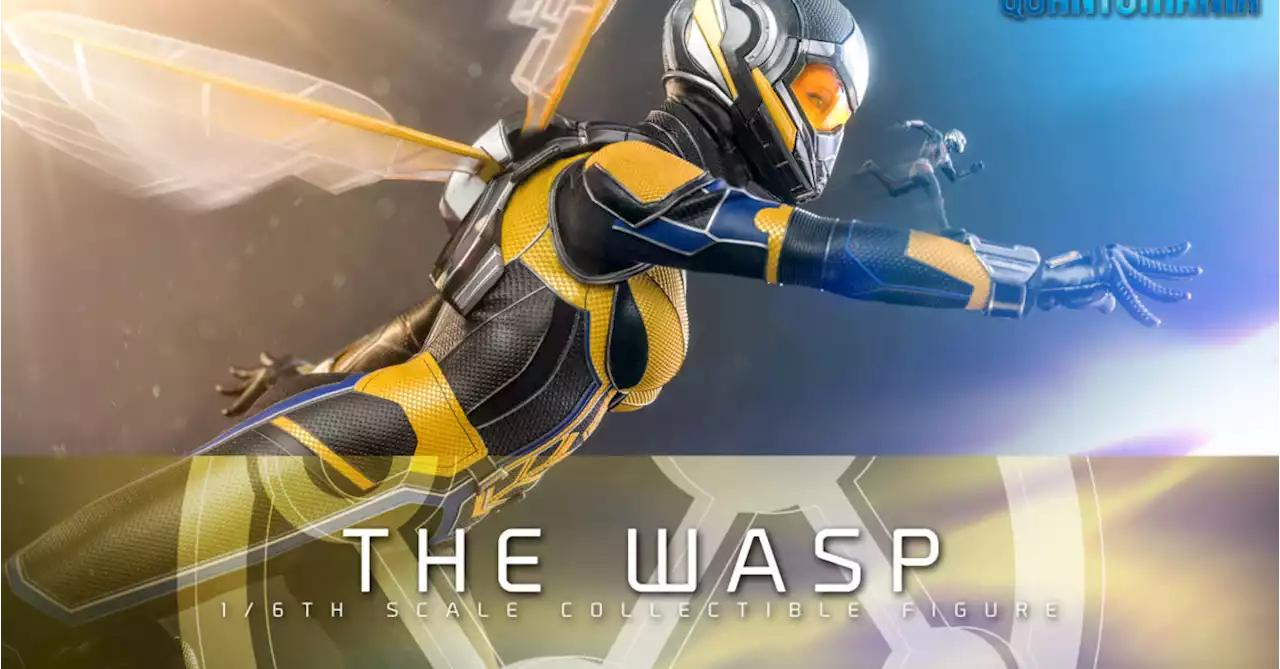 The Wasp Stings Hot Toys with Her Newest 1/6 Scale Ant-Man Figure