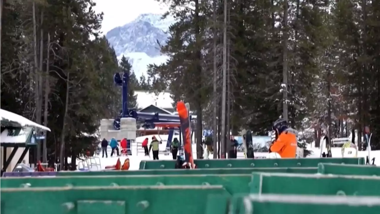 Skier caught in avalanche at southwestern Alberta resort spends night on mountain