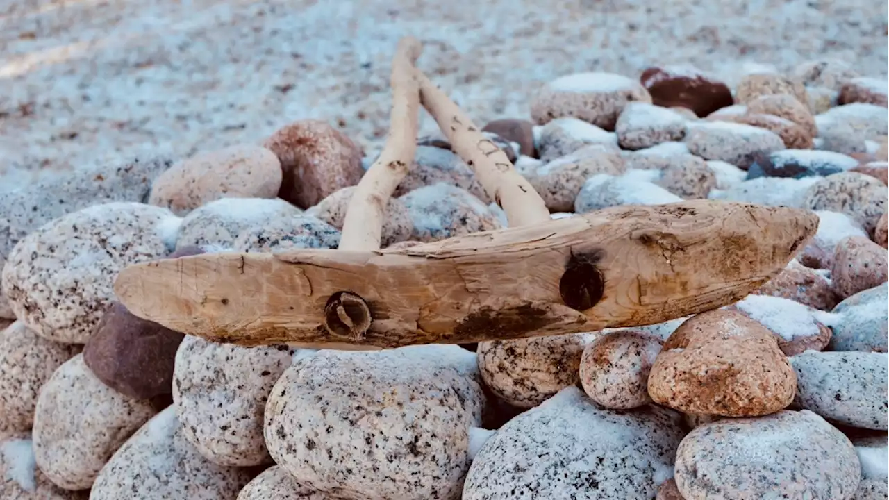 Nova Scotia man finds possible historic Killick anchor on beach