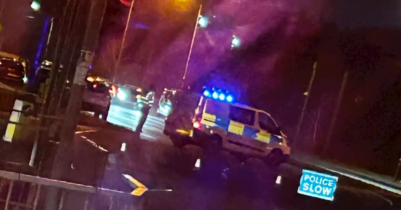 Man dies in Glasgow crash after being knocked down while walking dog