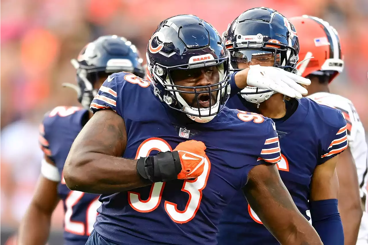 2022 Bears report card: Defensive tackle